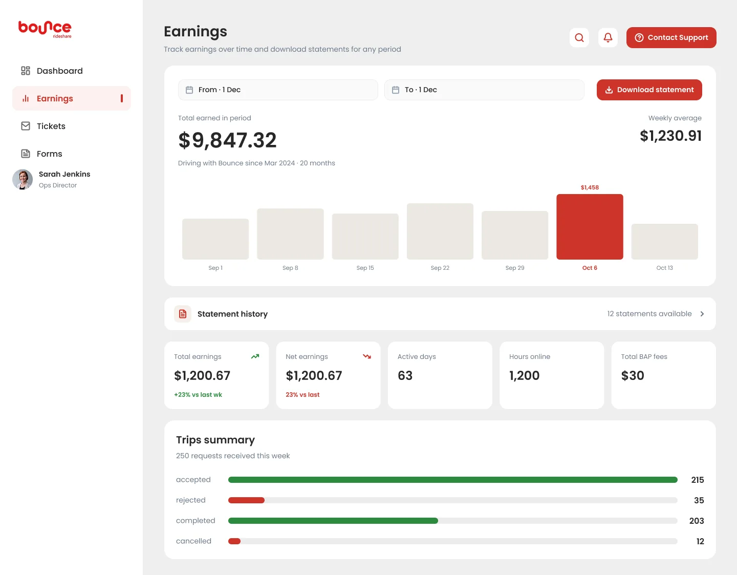 Driver portal, Earnings page