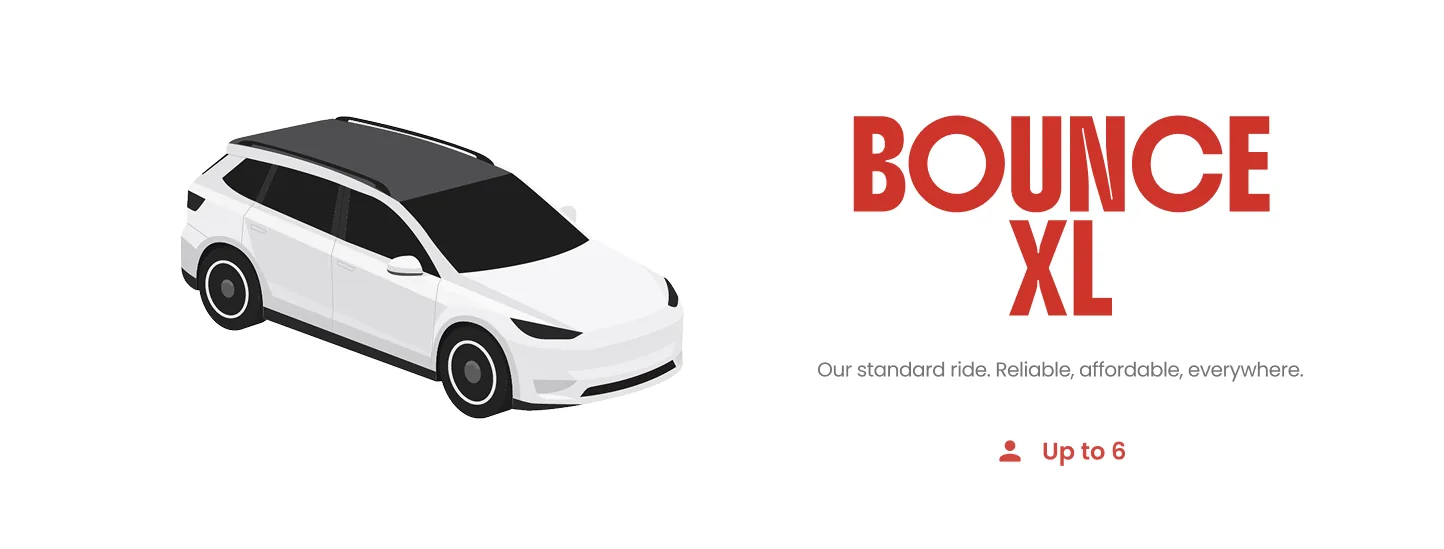 Bounce XL: the standard ride